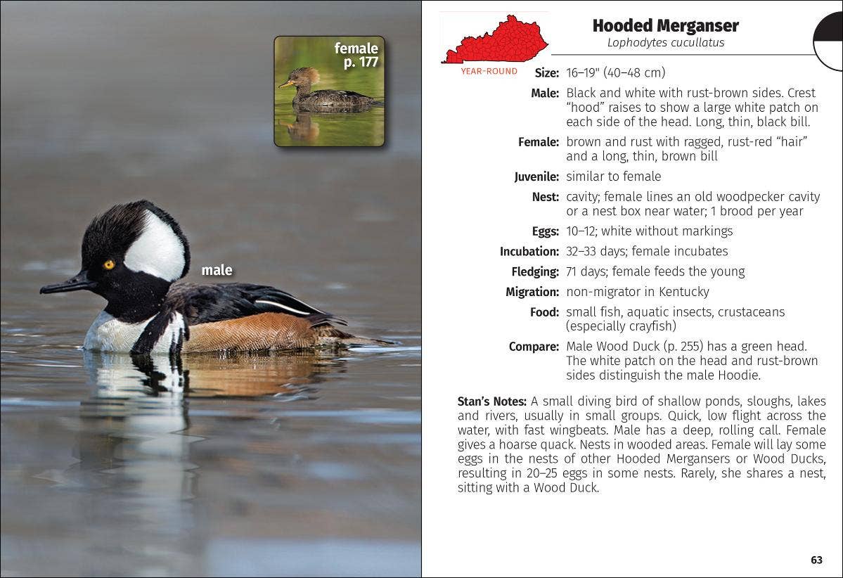 Birds of Kentucky Field Guide 2e
