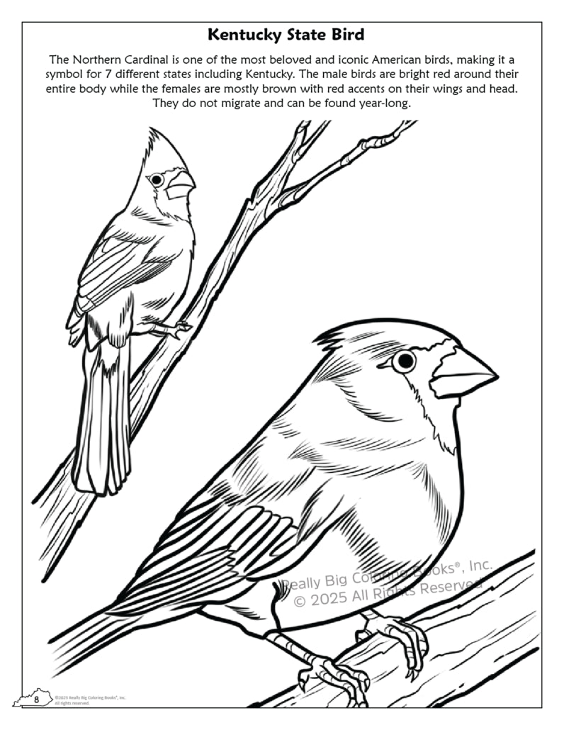 Kentucky State Coloring Book 8.5 x 11 - A Taste of Kentucky