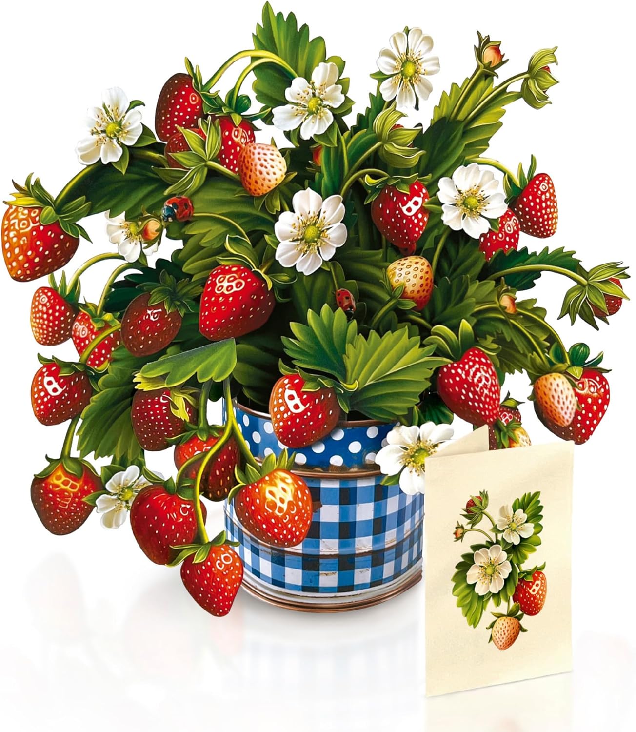 Strawberry plant with ripe strawberries and flowers in a blue and white checkered pot on a white background.