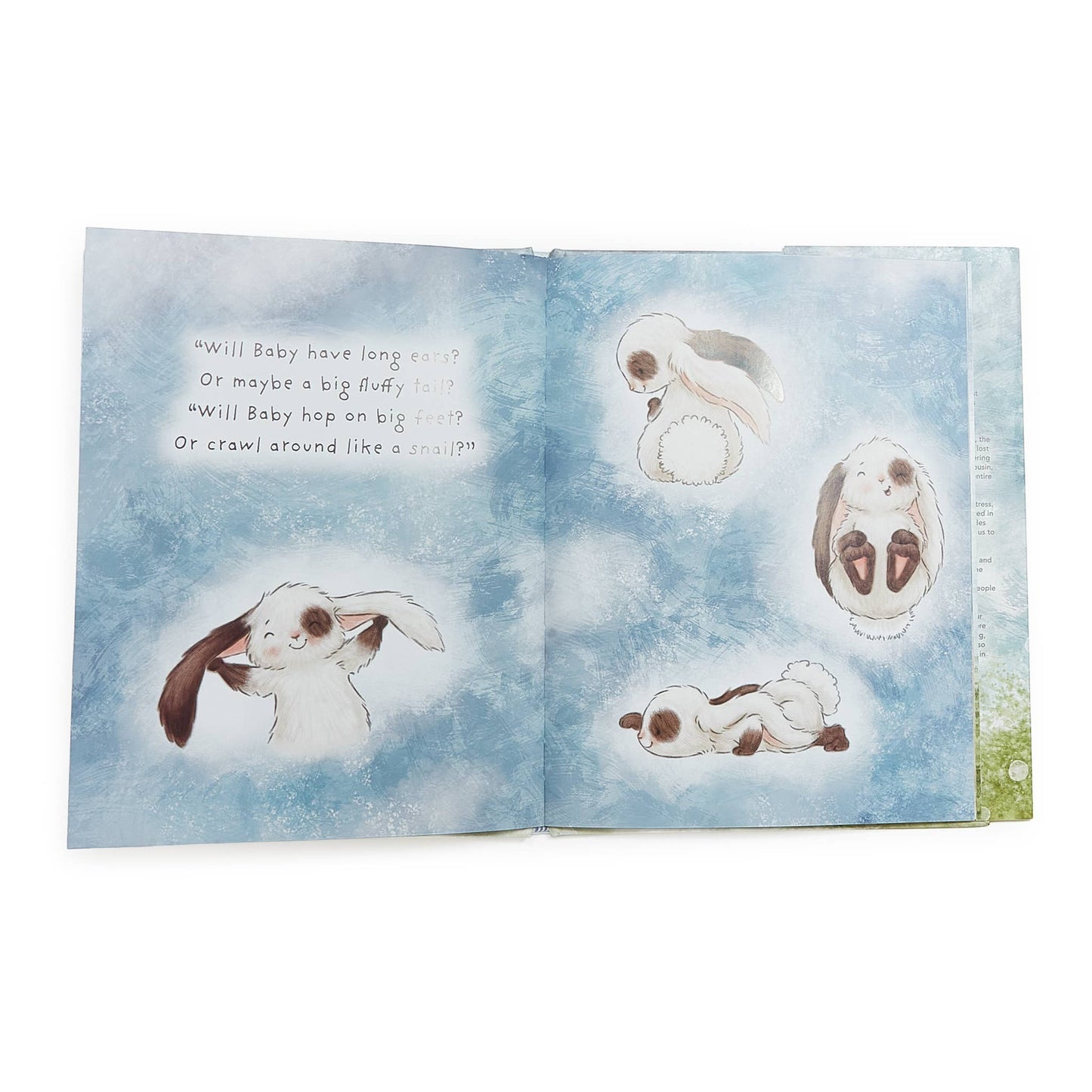 A Taste of Kentucky "Who Will Our New Baby Be?" story book for ages 0-3, featuring watercolor illustrations of bunnies and text about anticipating a new sibling.