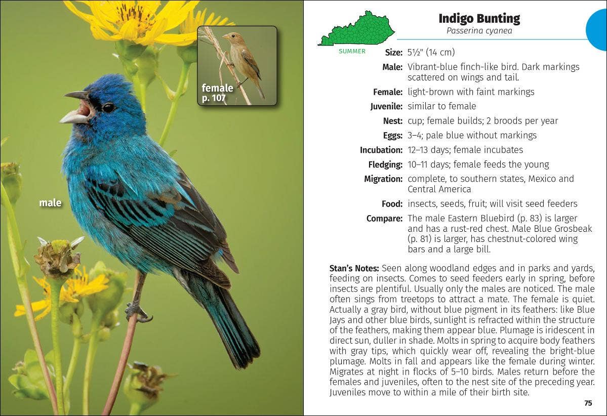 Birds of Kentucky Field Guide 2e