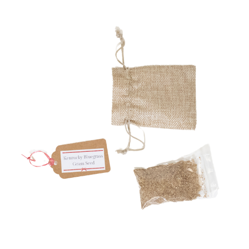 Kentucky Bluegrass Grass Seed - A Taste of Kentucky