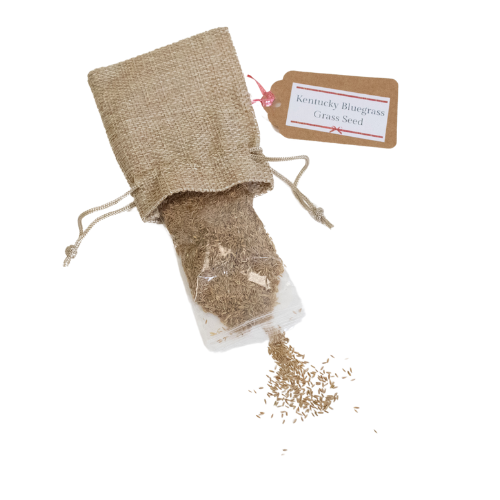 Kentucky Bluegrass Grass Seed - A Taste of Kentucky