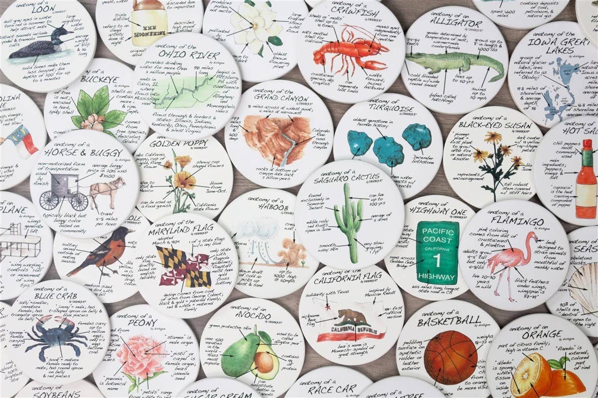 Louisville Anatomy Coasters - A Taste of Kentucky