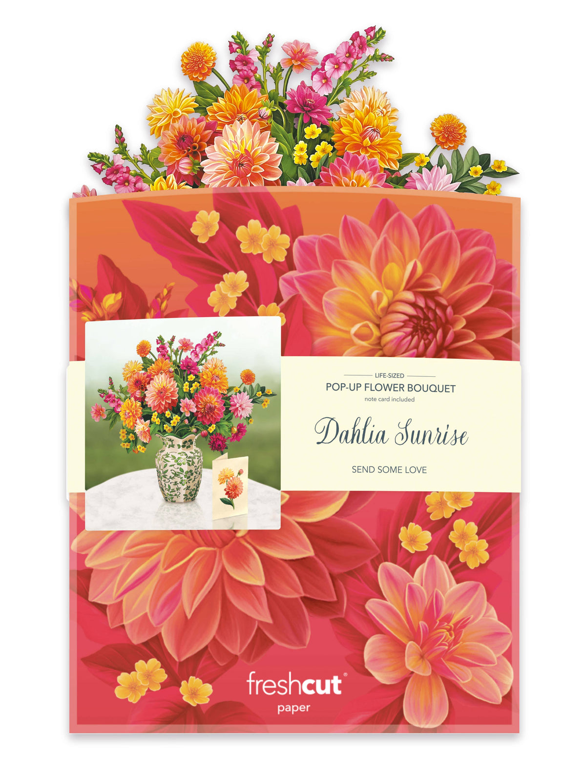 Dahlia Sunrise (8 Pop-up Greeting Cards) - A Taste of Kentucky