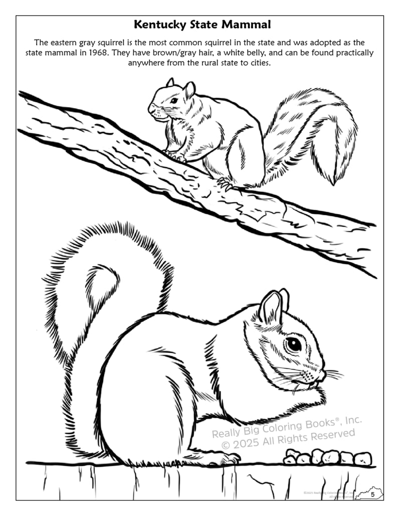 Kentucky State Coloring Book 8.5 x 11 - A Taste of Kentucky