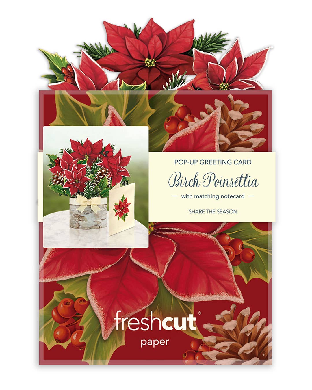 Mini Birch Poinsettia (10 Pop-up Greeting Cards) - A Taste of Kentucky