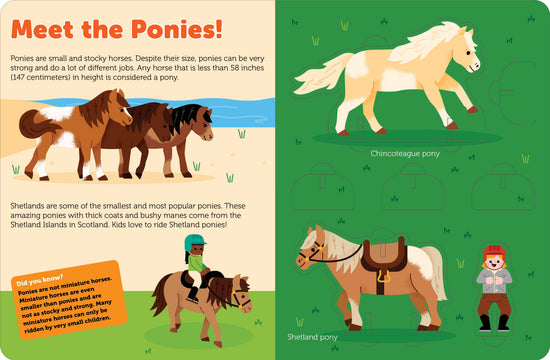 Pop Out Horses - A Taste of Kentucky