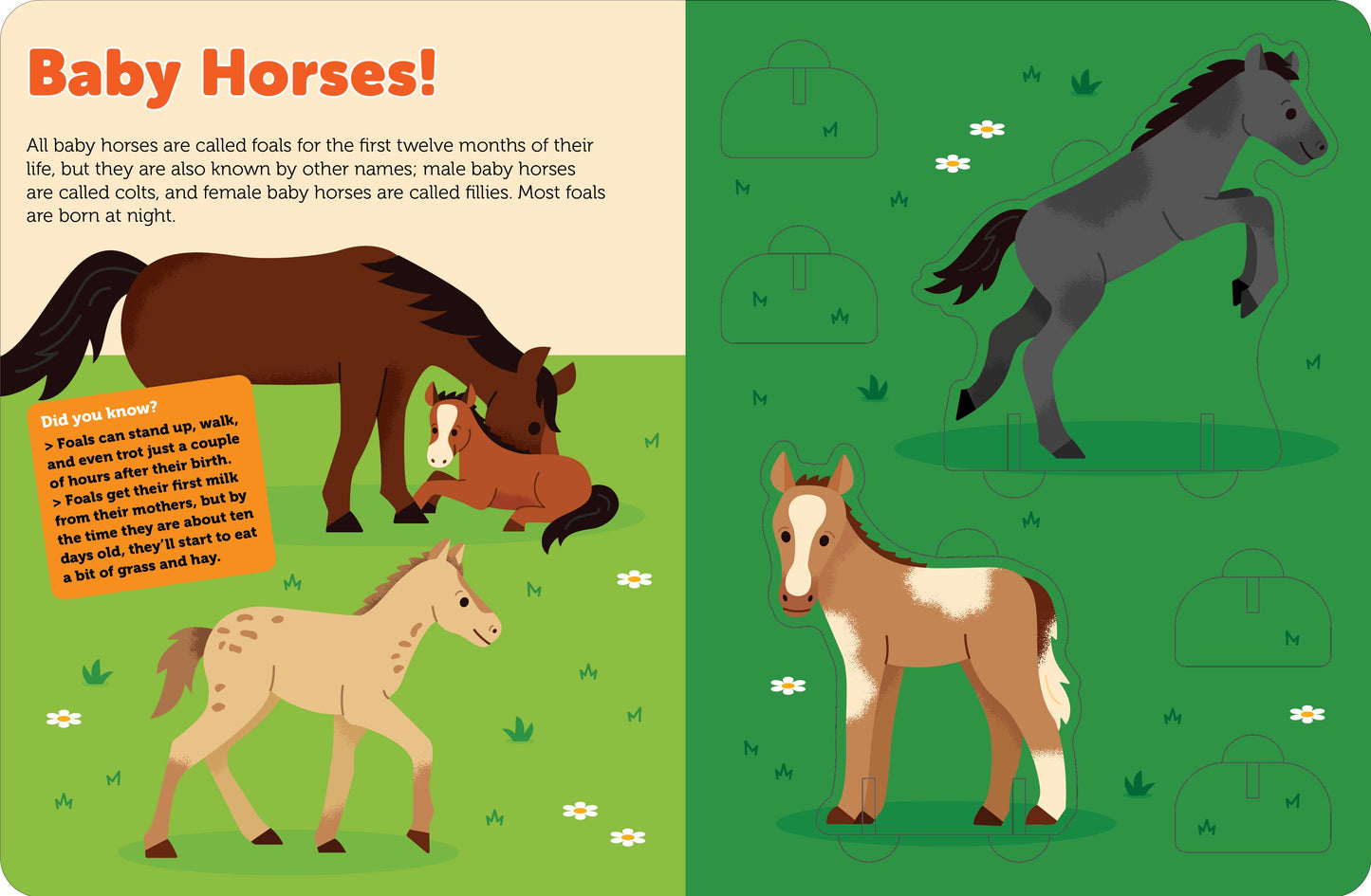 Pop Out Horses - A Taste of Kentucky
