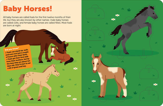 Pop Out Horses - A Taste of Kentucky