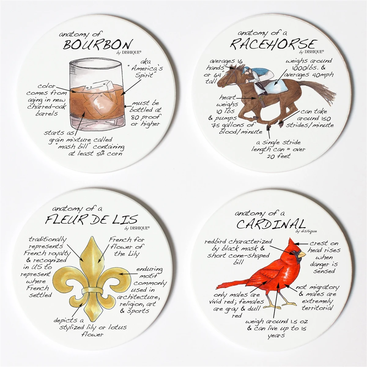 Louisville Anatomy Coasters - A Taste of Kentucky