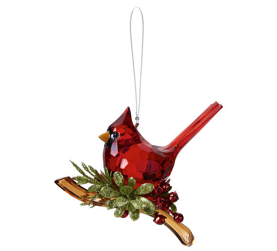 Classic Cardinal on Branch - A Taste of Kentucky