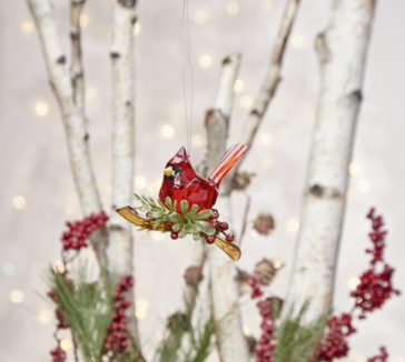 Classic Cardinal on Branch - A Taste of Kentucky