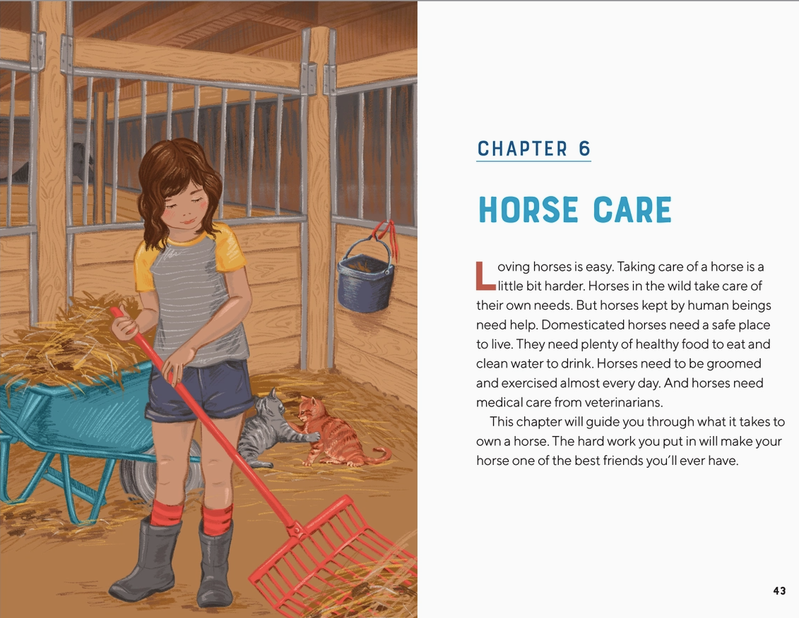 All About Horses