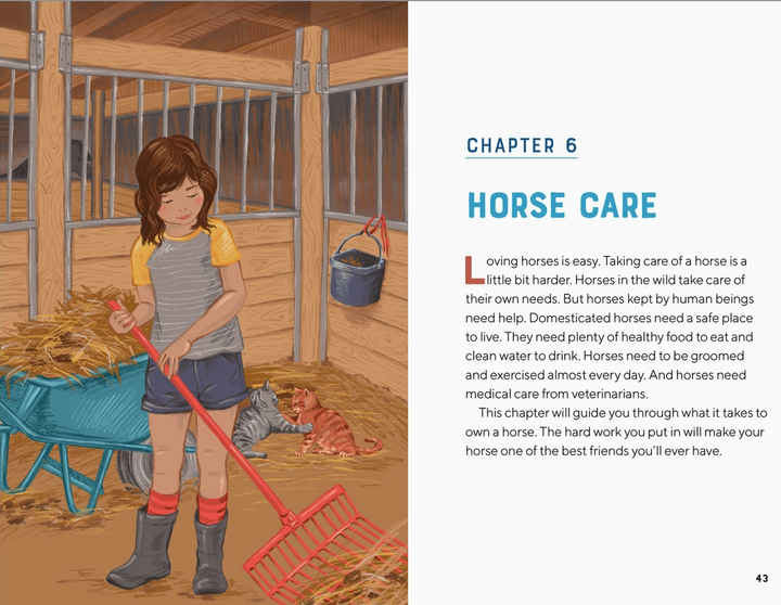 All About Horses