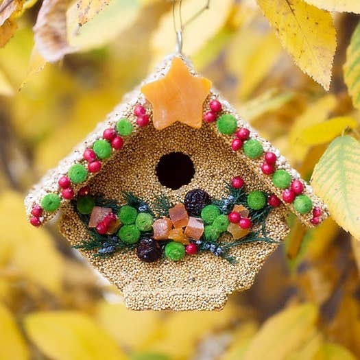 Fruit Casita