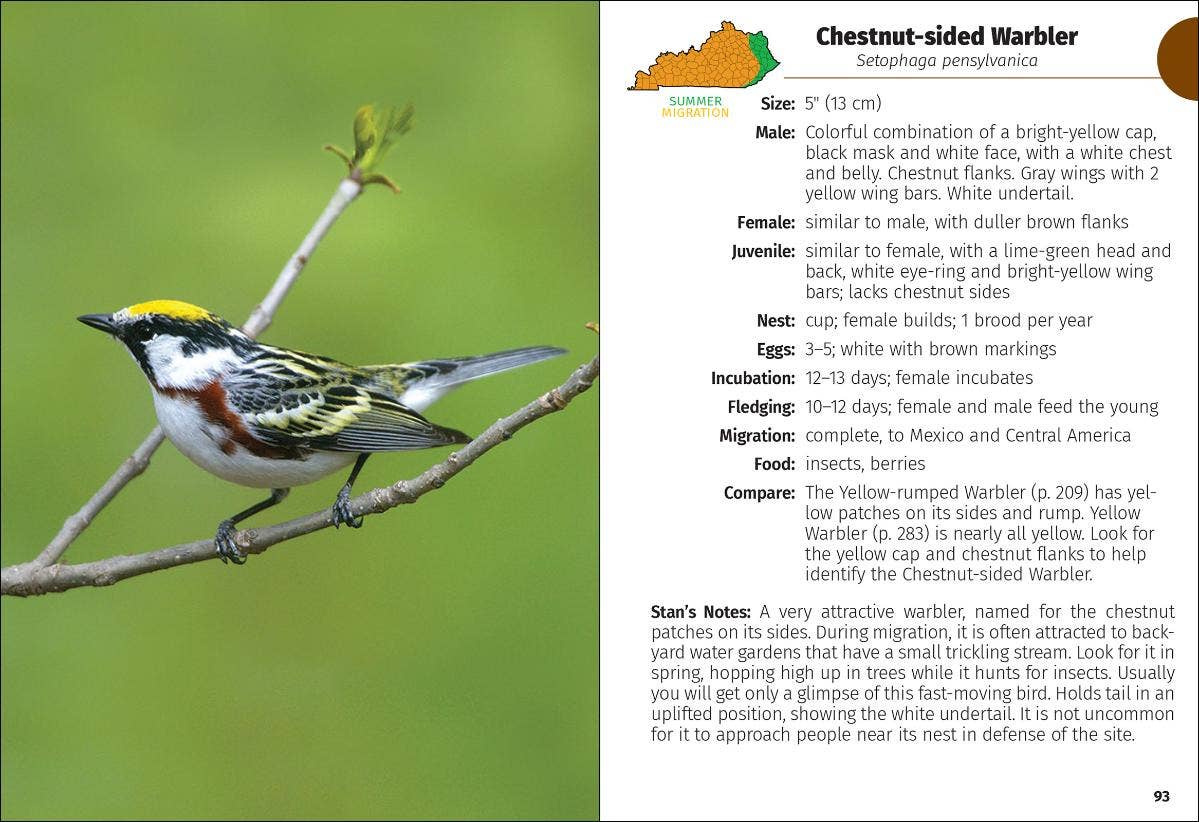 Birds of Kentucky Field Guide 2e