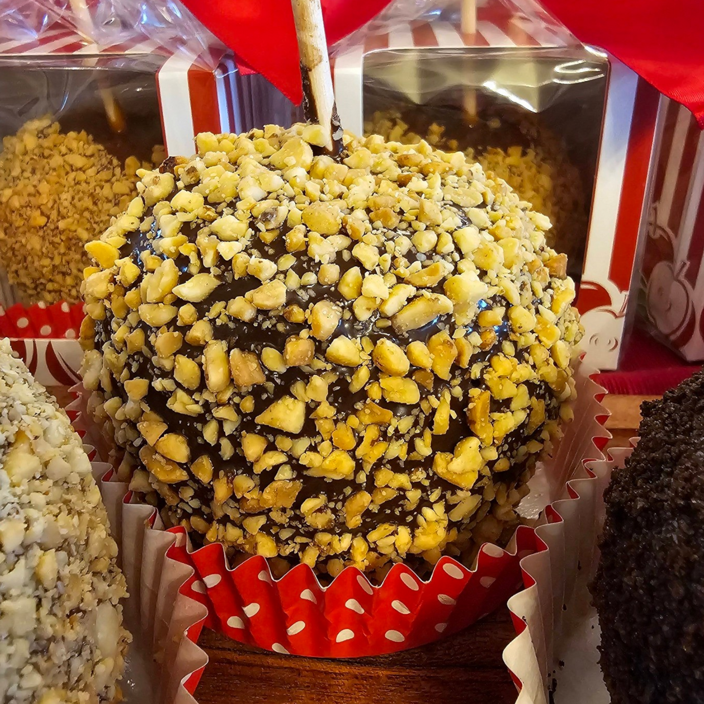 Gourmet Ballpark Caramel Apple - Dark Chocolate & Peanut - A Taste of Kentucky