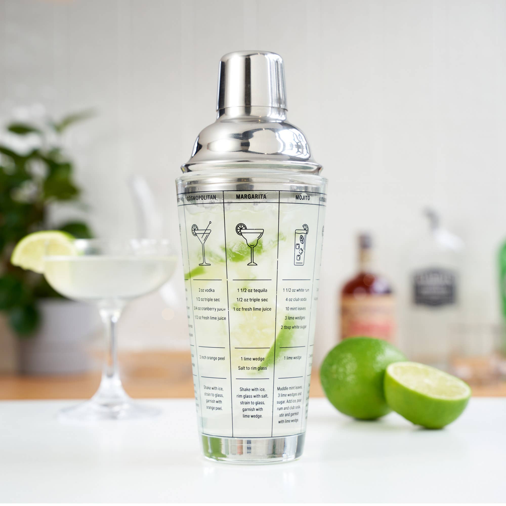 7 Cocktail Recipe Stainless Steel and Glass Shaker 13.5 oz