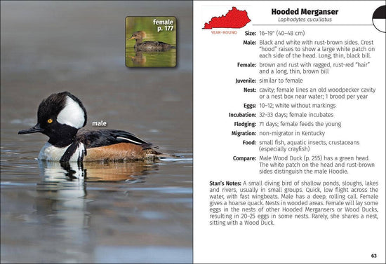 Birds of Kentucky Field Guide 2e