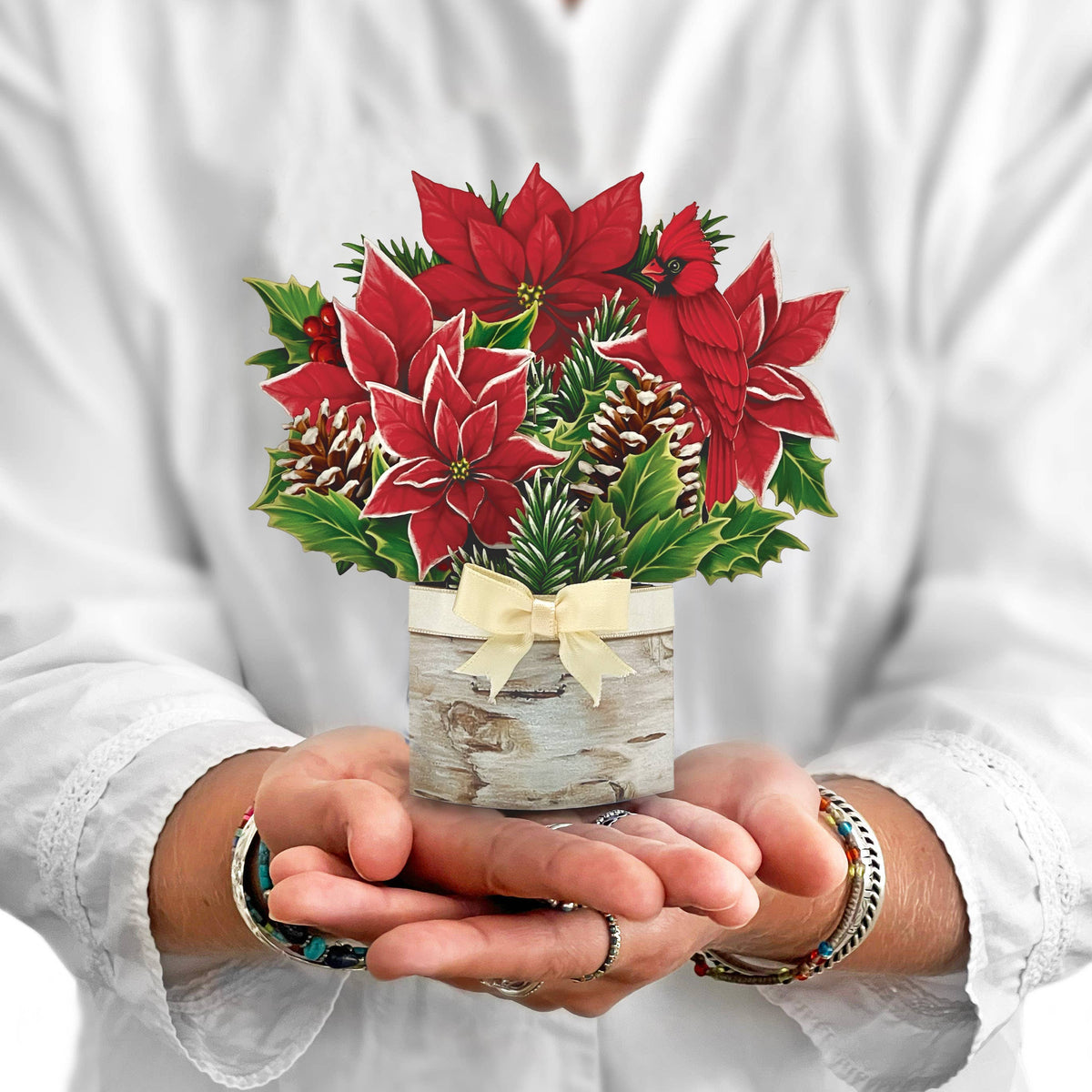 Mini Birch Poinsettia (10 Pop-up Greeting Cards) - A Taste of Kentucky