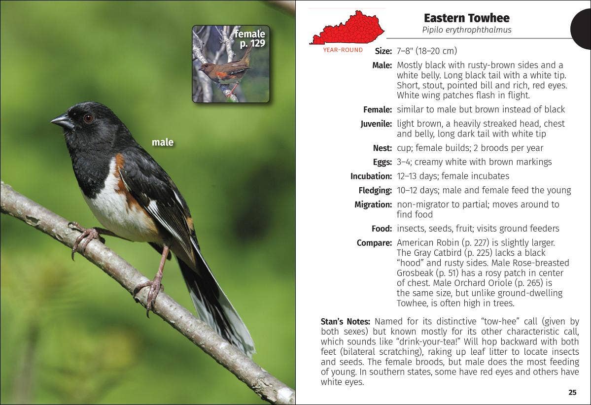 Birds of Kentucky Field Guide 2e
