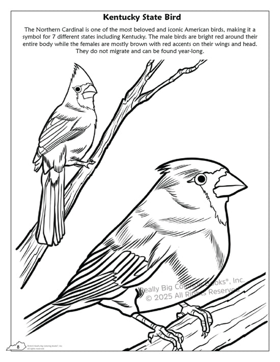 Kentucky State Coloring Book 8.5 x 11 - A Taste of Kentucky