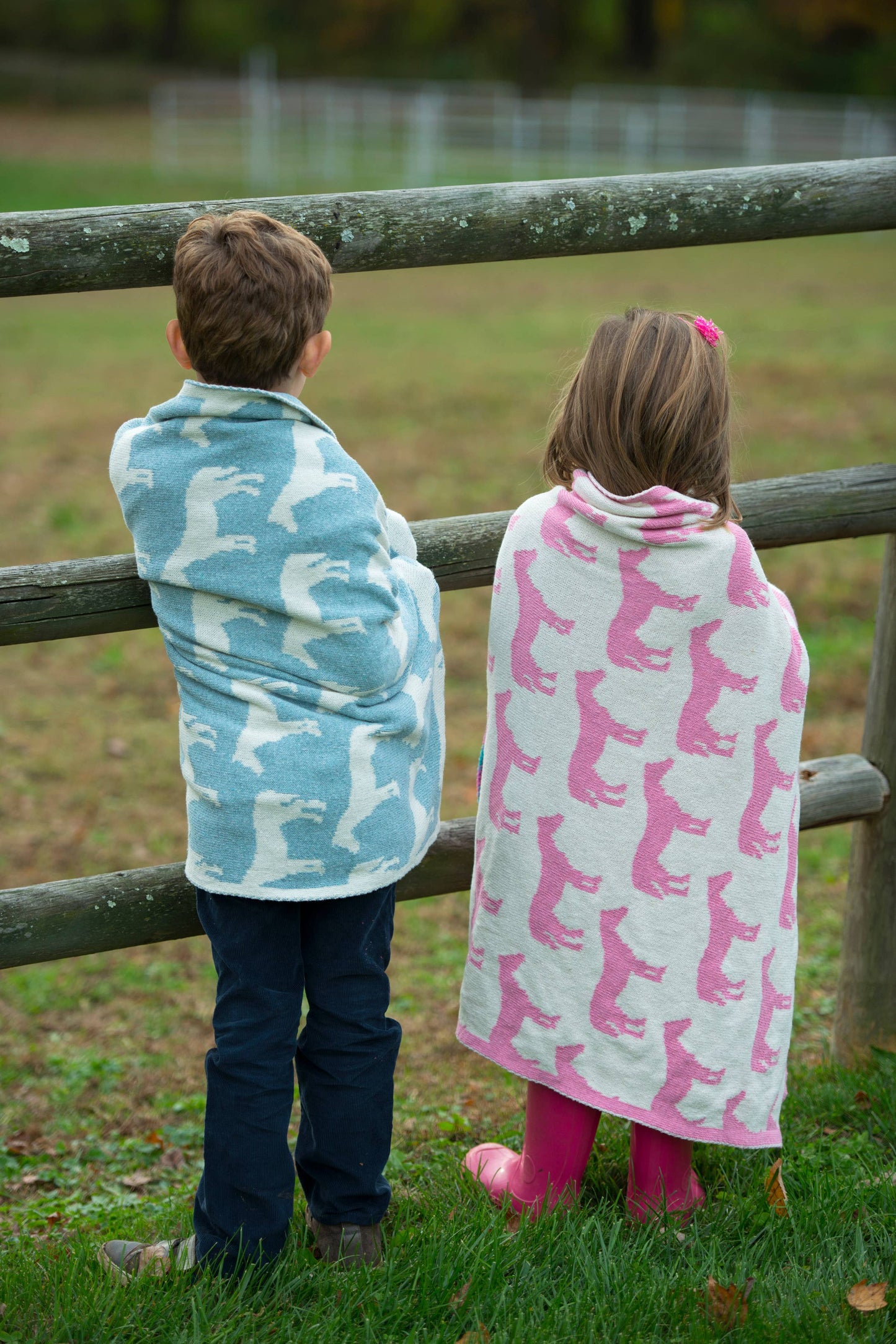 Baby Reversible Cotton Knit Blanket - Pony - A Taste of Kentucky