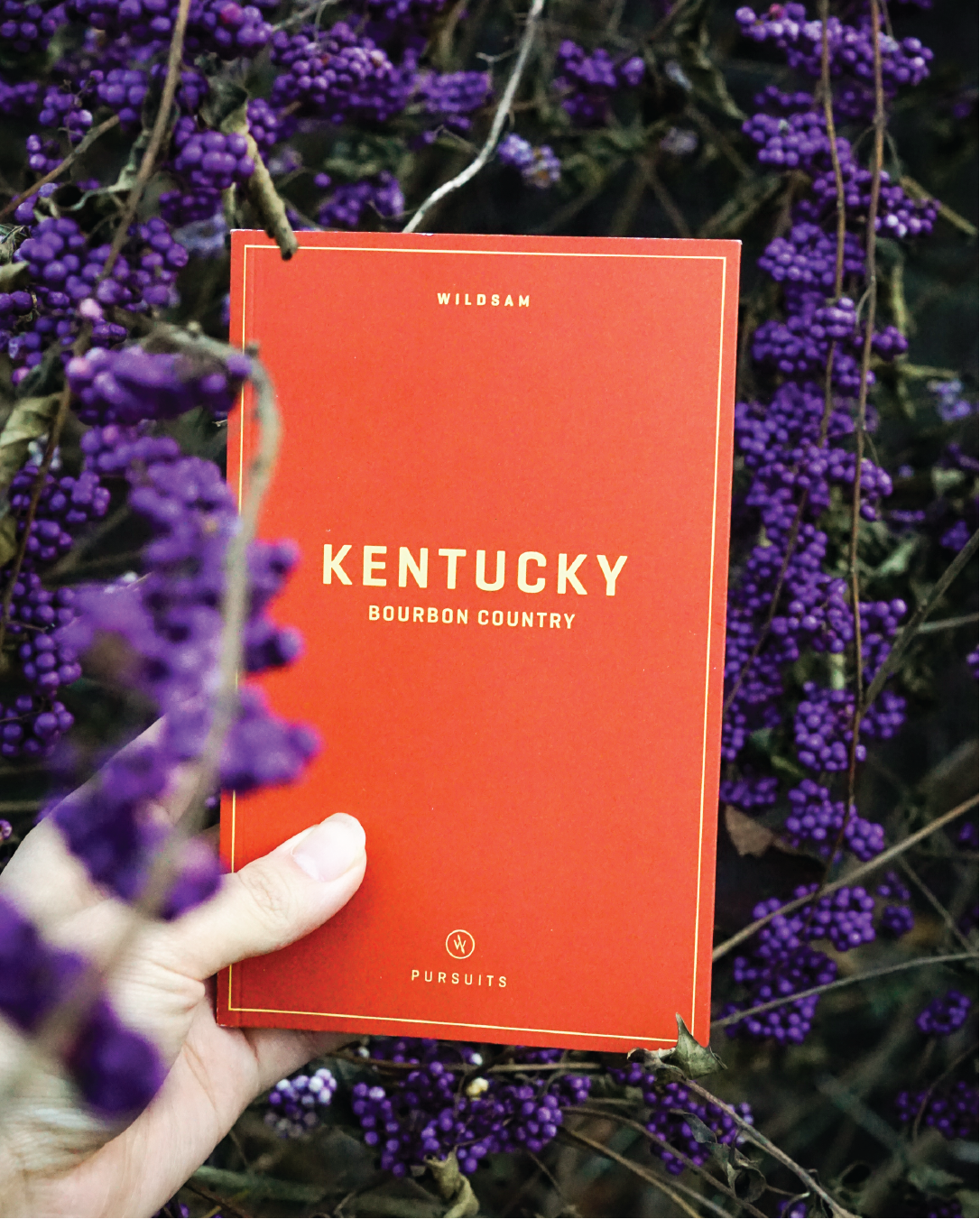 Kentucky Bourbon Country Field Guide Book - A Taste of Kentucky