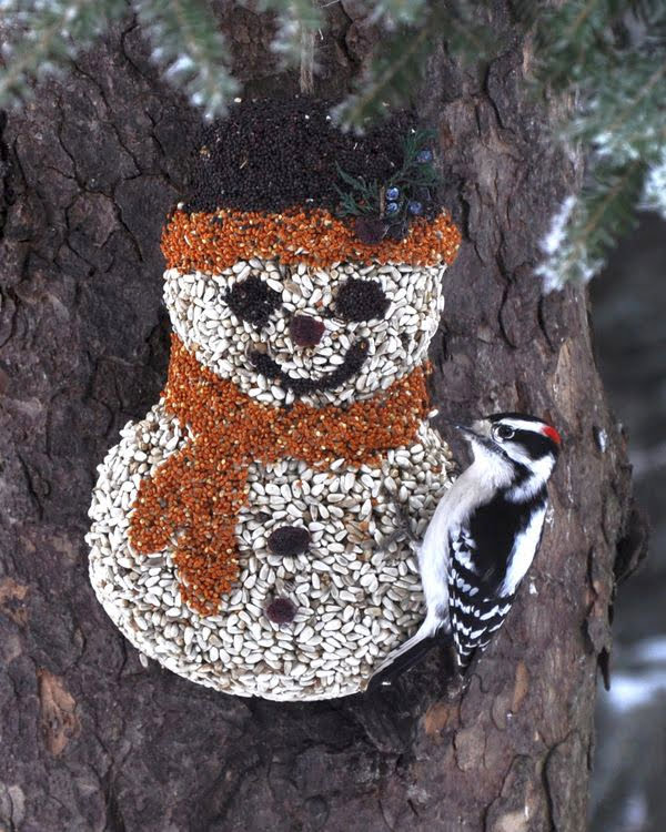 A Downy Woodpecker perched on the Frosty Snowman seed ornament, hanging from a winter tree branch.