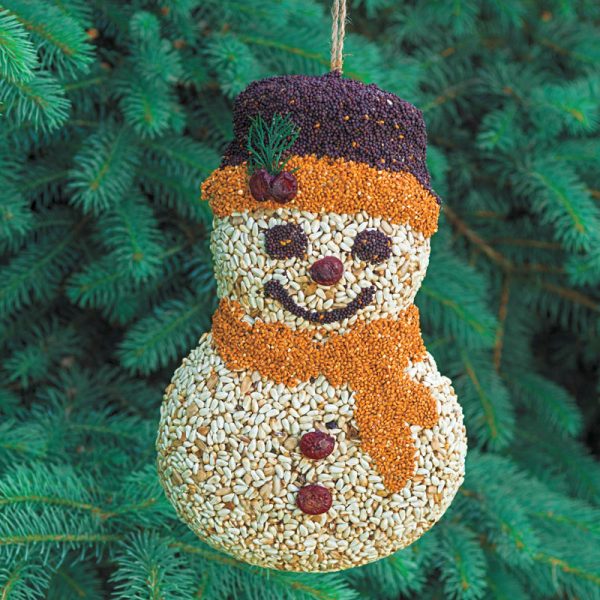 Seed-filled snowman ornament with a purple hat and orange scarf hanging against a green pine tree background.