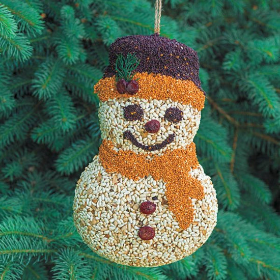 Seed-filled snowman ornament with a purple hat and orange scarf hanging against a green pine tree background.