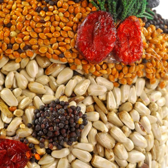 A close-up macro shot of the safflower seeds, sunflower hearts, and cherry decoration on the Frosty Snowman.
