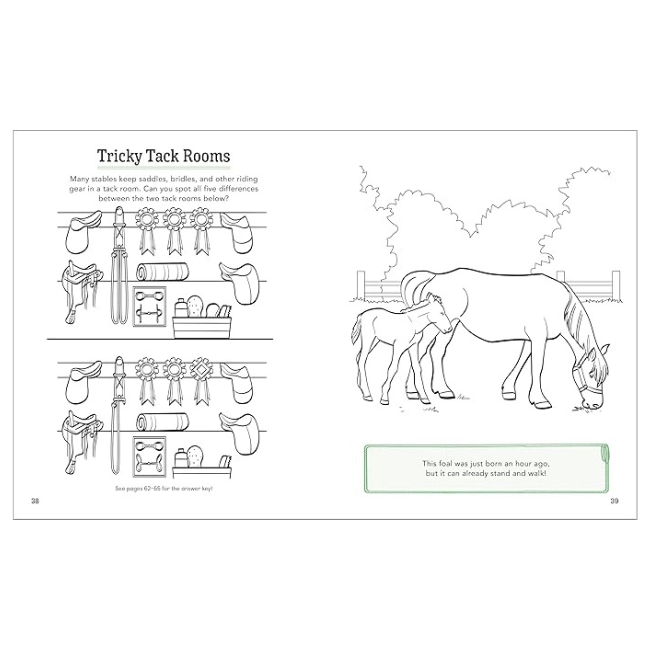 Horses!: A Coloring and Activity Book for Kids - A Taste of Kentucky