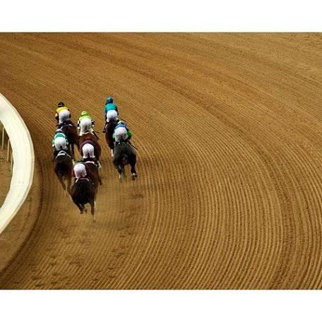 In Perfect Position by Dan Dry - A Taste of Kentucky