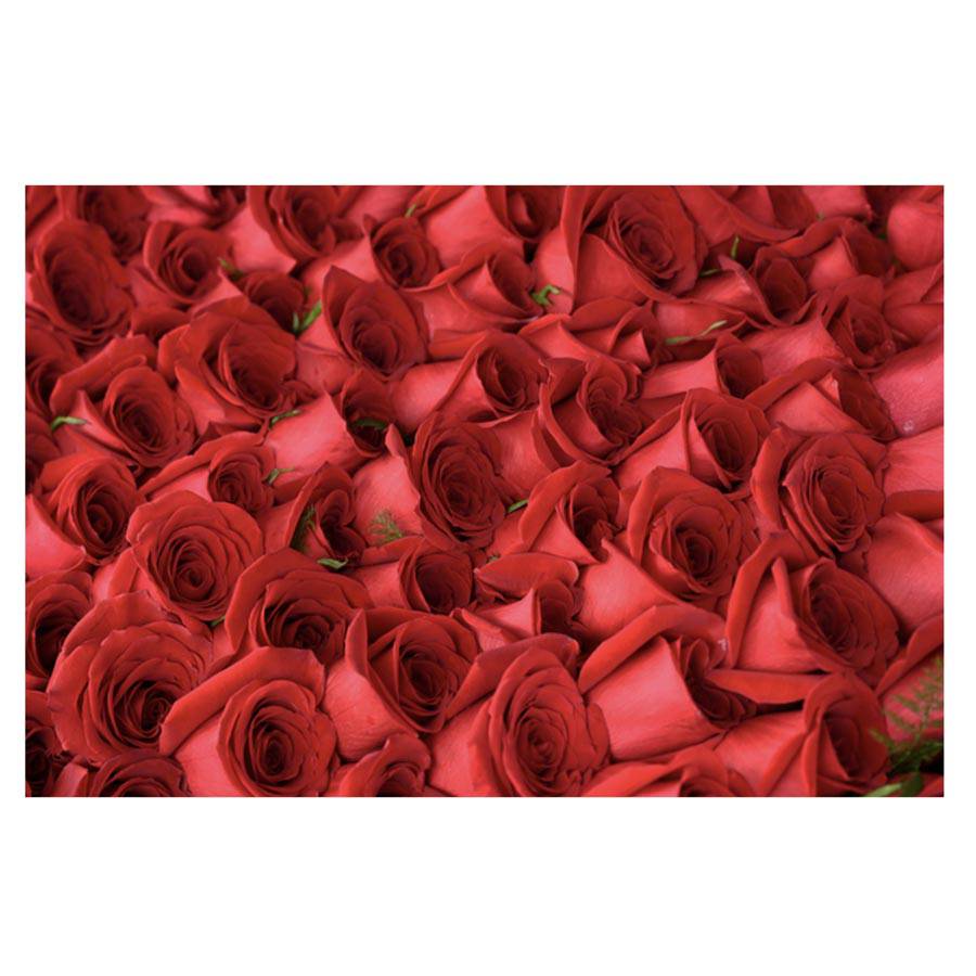Kentucky Derby Winner's Rose Blanket by Dan Dry - A Taste of Kentucky