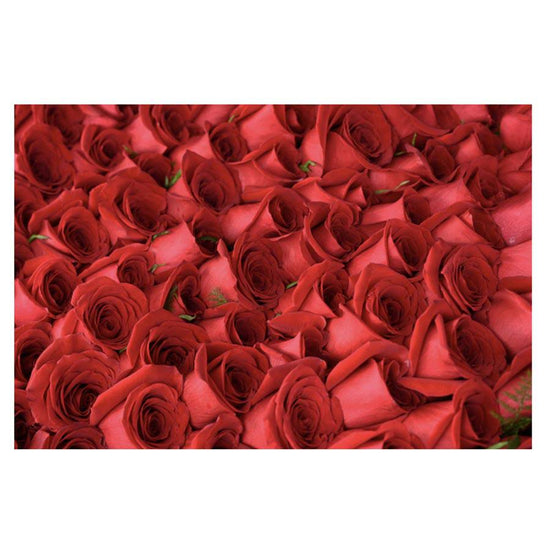 Kentucky Derby Winner's Rose Blanket by Dan Dry - A Taste of Kentucky