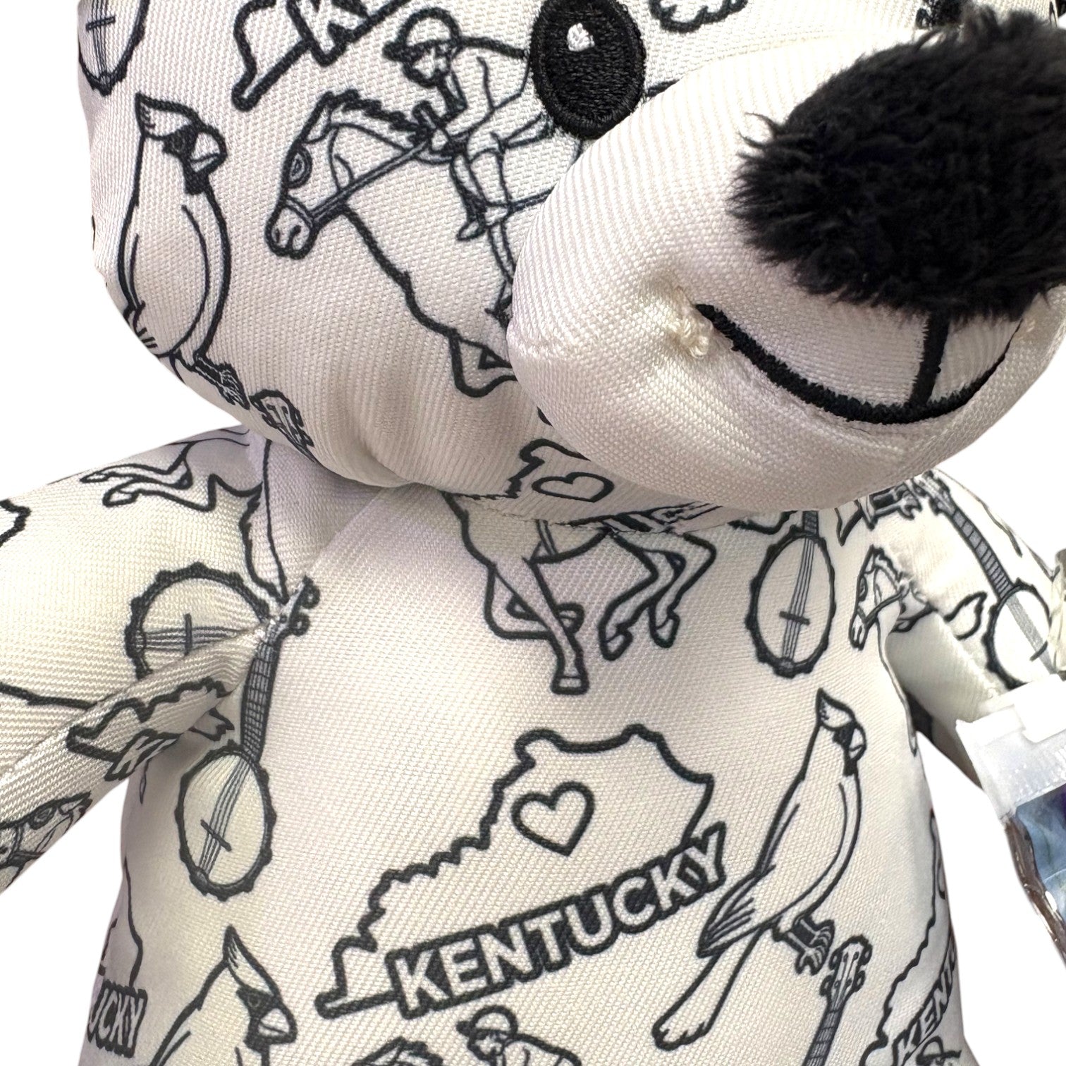 Color Me Plush Kentucky Bear | Kids' Gift Set