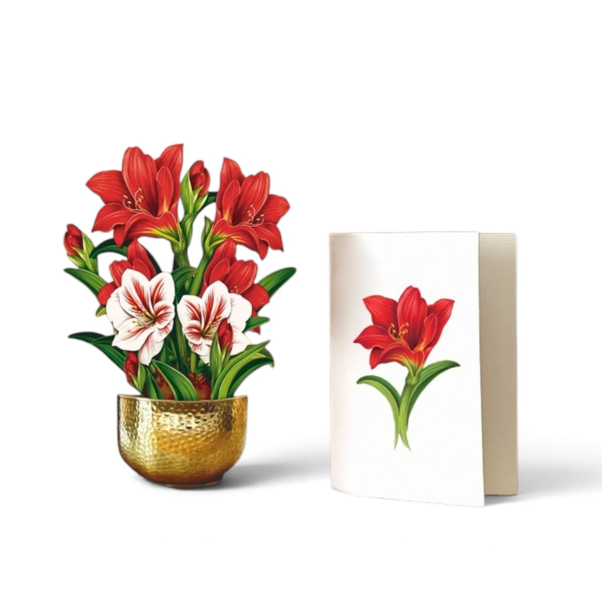 Scarlet Amaryllis Paper Flower Bouquet Greeting Card - A Taste of Kentucky