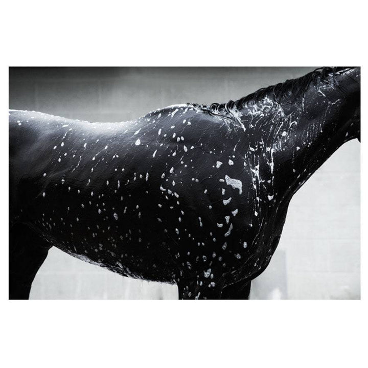 Morning Bath by Dan Dry - A Taste of Kentucky