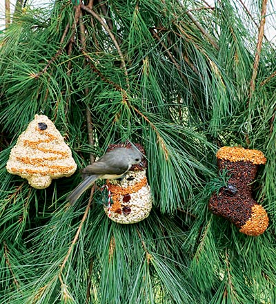 Bird perched on the three Mr. Bird Christmas seed ornaments hanging together to a tree