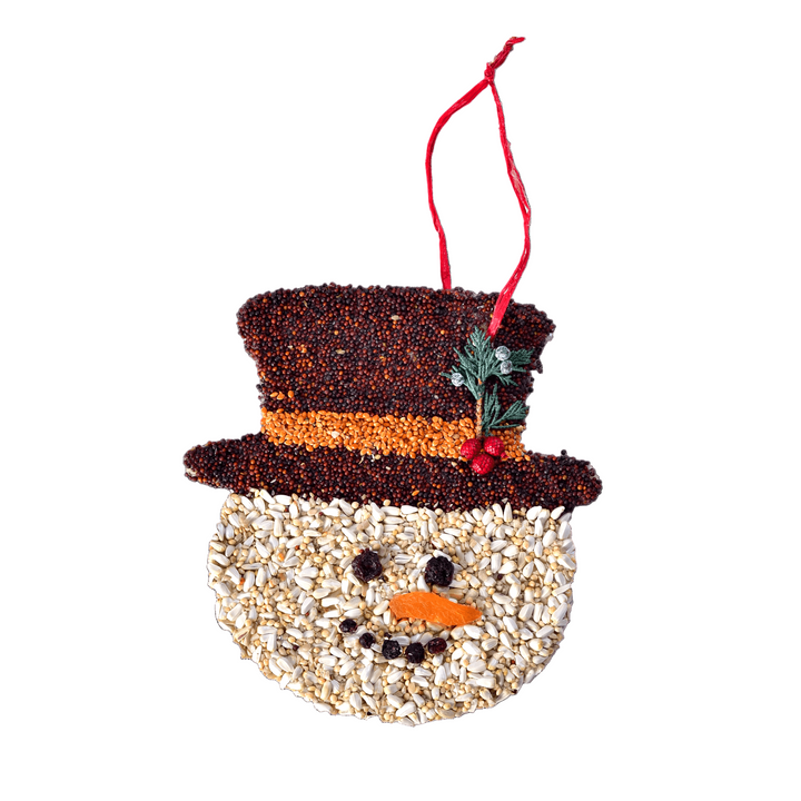 The Frosty the Snowman Christmas Cookie bird seed ornament on a white background.