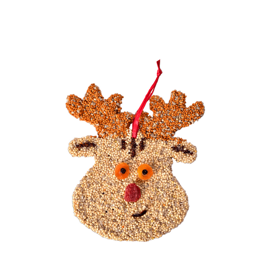 The Rudolph the Reindeer Christmas Cookie bird seed ornament on a white background.