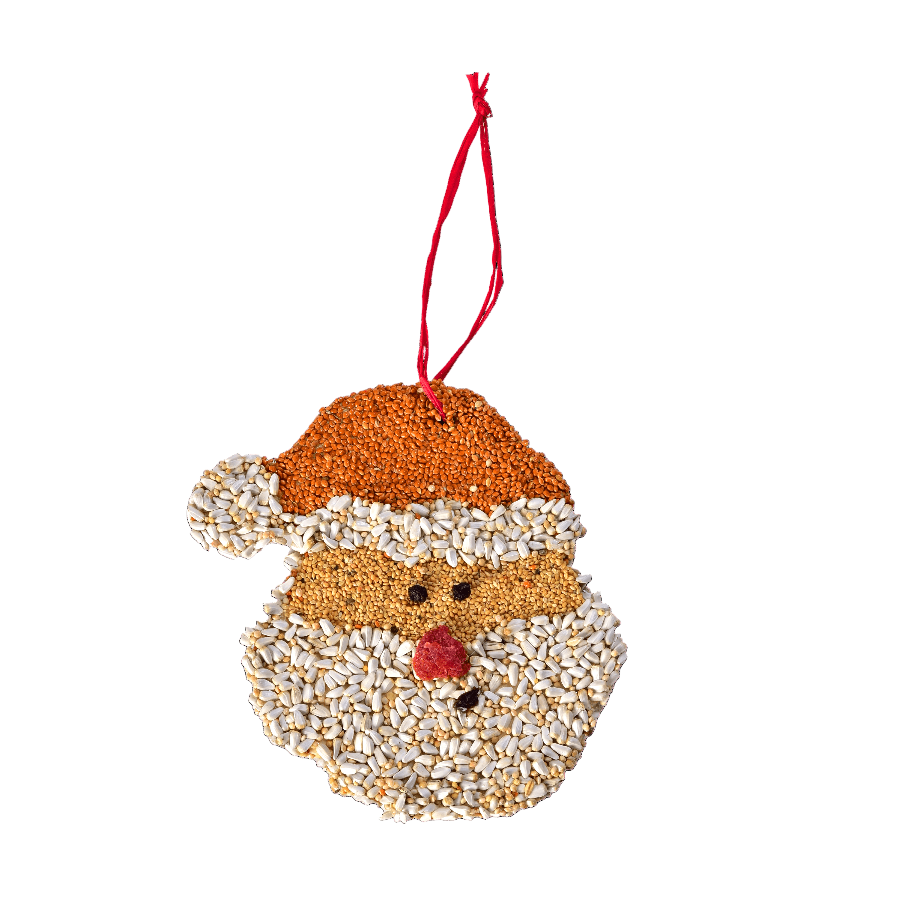 The Santa Claus Christmas Cookie bird seed ornament on a white background.