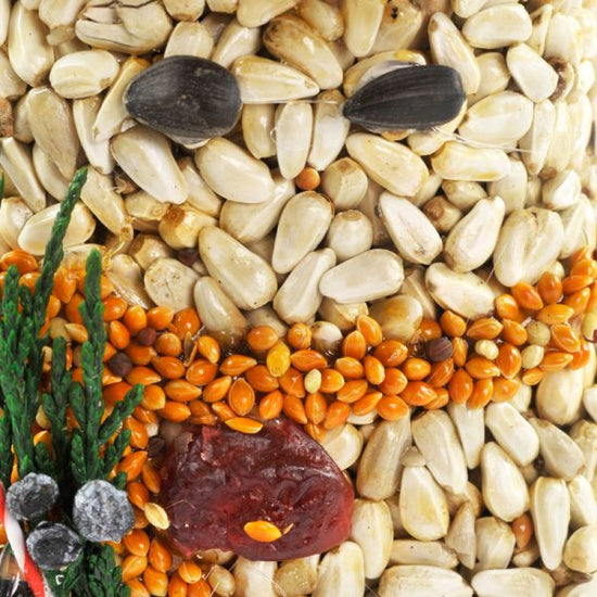 A close-up of the snowman-shaped bird seed ornament a mix of seeds and dried fruits on a bed of seeds