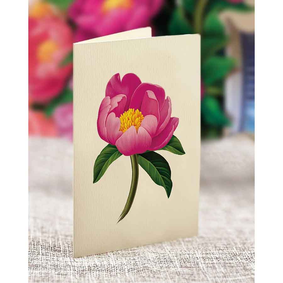 Peony Paradise Paper Flower Bouquet - A Taste of Kentucky
