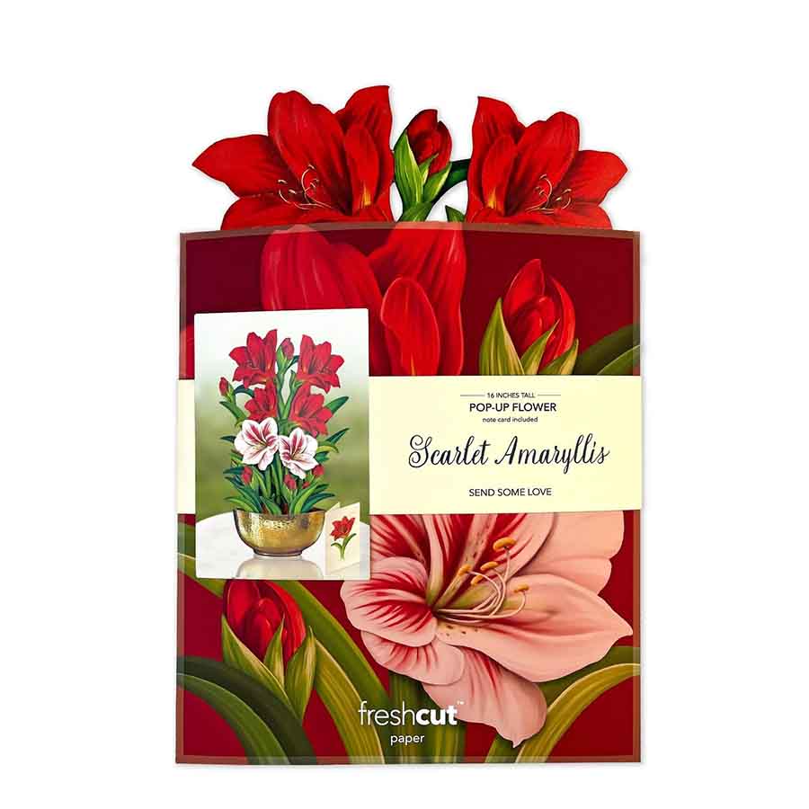 Scarlet Amaryllis Paper Flower Bouquet - A Taste of Kentucky