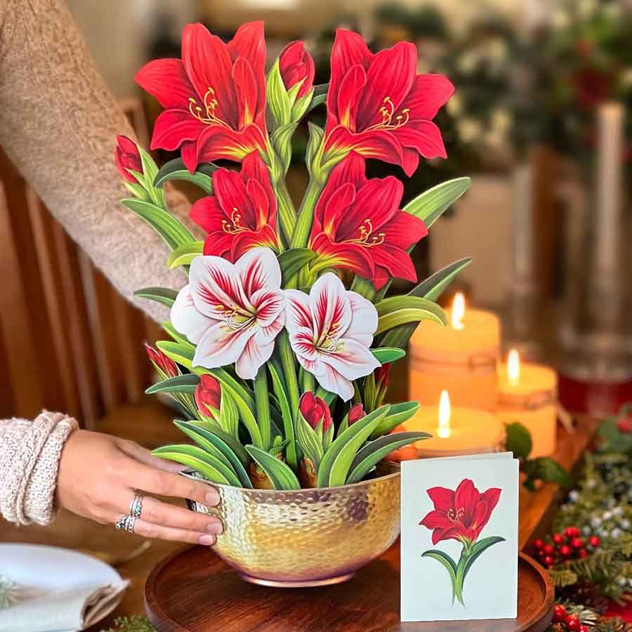 Scarlet Amaryllis Paper Flower Bouquet - A Taste of Kentucky