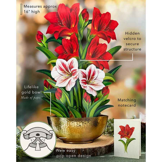Scarlet Amaryllis Paper Flower Bouquet - A Taste of Kentucky