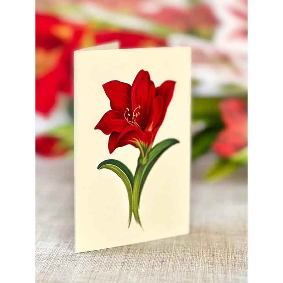 Scarlet Amaryllis Paper Flower Bouquet - A Taste of Kentucky